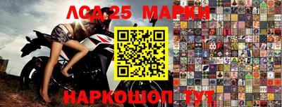 apvp Камышлов