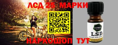 apvp Камышлов